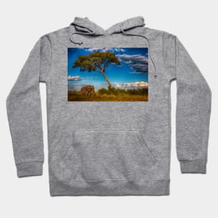 African Elephant in the Bush Hoodie